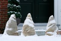 Arbustes à feuilles caduques et à feuilles persistantes attachés et enveloppés de toile de jute, toile de jute pour les protéger des dommages causés par la neige - Terre-Neuve, Canada