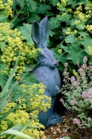 'Horace the Hare 'sculpture de Dennis Fairweather entourée d'Alchemilla mollis et Thymus' Silver Posie '