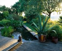 Vue de la terrasse en bois avec piscine, Agave americana en pot et Fraxinus pallisae - La cabane Fovant, Wiltshire