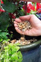 Ajouter du paillis de gravier au pot d'été pour éviter le dessèchement du sol