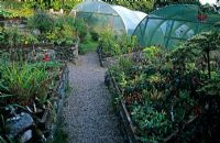 Zone de vente de plantes avec des parterres de fleurs en triangle contenant des plantes semées - Polytunnels en arrière-plan - Jardin clos de la maison Jura