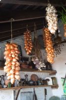Oignon, échalotes, ficelles d'ail suspendues à des poutres de plafond à l'intérieur de la remise en pot et affichage de vieux outils sur des étagères