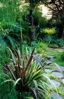 Jardin de feuillage informel avec Phormium tenax 'Maori Sunrise' au jardin de Roger Rache à Berkeley, Callifornia