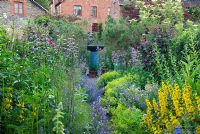 Les parterres de fleurs herbacées doubles comprennent des roses, Lysimachia punctata, Phlomis tuberosa, Nepeta, Achemilla mollis et valériane avec un chemin menant à un plan d'eau contemporain bleu avec maison en arrière-plan