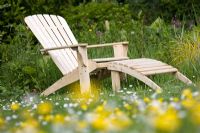 Chaise Adirondack sur pelouse avec renoncules et marguerites