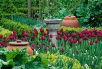 Tulipe 'Impression rose' à côté de la rhubarbe en terre cuite forçant des pots et un cadran solaire