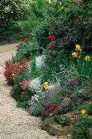 Jardin de Launa Slatter, Oxon - Parterre de fleurs à côté de conduire avec Tanecetum, Iris jaune, coquelicots, Helianthemum, Aubretia et Cerastium Tomentosum