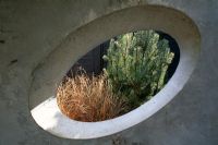 'Chambre' en béton avec des fenêtres ovales - la plantation est Carex buchananii