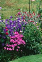 Erigeron, Lychnis coronaria, Campanula 'Bells of Holland' et Dianthus en parterre de fleurs - Oxfordshire