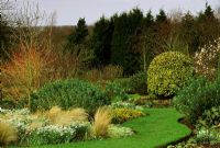 Parterre d'hiver avec Galanthus alpinus 'Atkinsii', Euphorbia et Cornus 'Midwinter Fire' à Glen Chantry, Essex