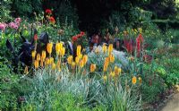 Parterre de fleurs de couleur chaude avec Kniphofia uvaria à Munstead Wood à Surrey.