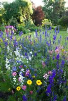 Parterre de fleurs annuelles avec Cosmos, Consolida - Larkspur, Calendula - Marigold, Centaurea - Bleuets en juillet