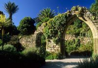 Jardin subtropical. Ruines de l'abbaye avec arc au-dessus du chemin avec Agapanthe et Echeveria poussant dessus - Abbey Gardens, Tresco, Scilly Isles
