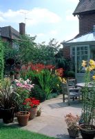 Crocosmia et Montbretia en fin d'été parterre de fleurs à côté de la terrasse à l'arrière arrière de la maison. Pots de Lilium et table et chaises - Villa Ramsdal, Chelmsford, Essex