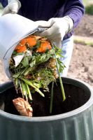 Déchets végétaux ajoutés au bac à compost