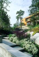 Jardin de campagne minimaliste contemporain avec affleurement rocheux et Salvia. Maison au sommet d'une colline - Villa Solberget, Stocksund, Suède