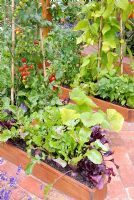 Parterres surélevés contenant des légumes et des fruits dans le jardin de régénération Sadolin au RHS Hampton Court FS