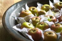 Malus - pommes cox anglaises prêtes pour le stockage