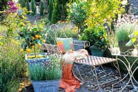 Jardin méditerranéen avec assise métallique décorative, agrumes et lavandula