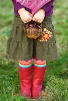 Petite fille tenant un panier de châtaignes