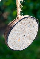 Une demi-noix de coco remplie de suif et de graines d'oiseaux