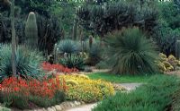 Aloe virens et Carnegiea gigantea dans le Desert Garden Huntington Botanical Gardens, Los Angeles, Californie.