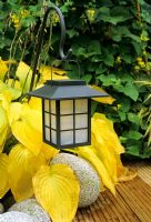Lanterne solaire de style oriental rétroéclairée par une hosta qui se colore à l'automne alors qu'elle se déverse entre le platelage en bois et les rochers de granit