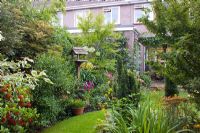 Petit jardin de ville avec une bonne structure, des arbres et des arbustes intéressants - Nailsea, Somerset, UK