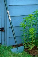 Bordure de gazon en fer appuyé contre un abri de jardin