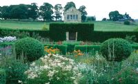 Jardin fleuri avec boîte topiaire et couverture d'if - Herterton House, nr Cambo, Morpeth, Northumberland