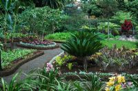 Petit jardin public à Funchal, Madère avec Cycas, Sago Palm, Impatiens, Datura candida et Cymbidium