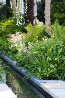 Un jardin Cadogan avec une combinaison de plantes et un ruisseau d'eau, commanditaire - Cadogan Estates Ltd. Design - Robert Myers. RHS Chelsea Flower Show 2008. Gagnant de la médaille d'or