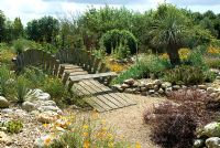 Paysage de jardin de style californien - Le Desert Wash Garden, le vieux Vicarage, East Ruston, Norfolk