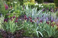 The Bupa Garden conçu par Cleve West, RHS Chelsea 2008 avec Iris 'Langport Wren', Lupinus 'Masterpiece', Ballota pseudodictamnus et Allium christophii - Médaillés d'or