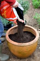 Plantation d'un pot d'herbes mixtes - remplissage avec du compost à base de terre