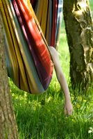 Fille dans un hamac à rayures colorées avec bras traîner toucher l'herbe avec Primula veris poussant à l'orée du bois en mai. Hamac suspendu à des arbres dont Betula.