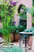 Garden - SPANA's Courtyard Refuge, Design - Chris O ' Donoghue, sponsor - Société pour la protection des animaux à l'étranger