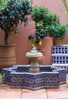 Cour méditerranéenne de style marocain avec fontaine carrelée dans le jardin - SPANA's Courtyard Refuge, Design - Chris O ' Donoghue, sponsor - Société pour la protection des animaux à l'étranger, RHS Chelsea Flower Show 2008