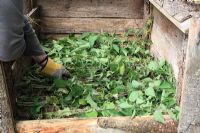 Remplir un bac à compost - Les orties fraîchement coupées serviront d'activateur