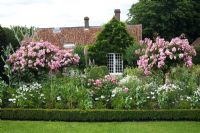 Parterre de juin avec Rosa 'Ballerine' et le pavillon d'été en arrière-plan - Chenies Manor Gardens