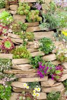 Jardin de rocaille fait de tas de pierres avec plantes succulentes et alpines