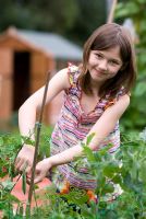 Fille de neuf ans cueillant des pois sur une allocation UK souriant à la caméra