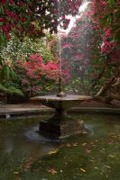 La fontaine et la piscine entourées de rhododendrons - Holker Hall, Cumbria