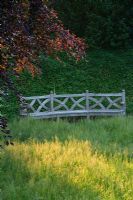 Un endroit pour s'asseoir - belle banquette en bois à côté de hêtre cuivre et prairie de fleurs sauvages - le vieux presbytère, Haselbech, Northamptonshire.