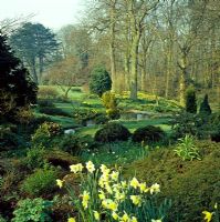 Jardin boisé au début du printemps avec Narcisse autour de rocaille et ruisseau - Abbotswood NGS