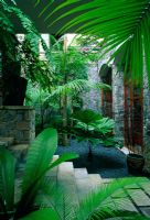 Plantation de style tropical dans une petite cour avec des marches en pierre menant à un parterre de gravier avec palmier Cycad - Bali