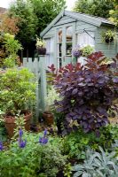 Pavillon vert pâle, porte et clôture dans le jardin avec une variété mixte d'arbustes, y compris Cotinus 'Royal Purple' avec un feuillage rouge-violet foncé