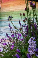 Parterre de couleur froide avec Allium sphaerocephalon, Campanula, Veronica, Agapanthus et terrasse en bois teinté - Benecol's Prism Corner Garden - soutenant Rainbow Trust - RHS Hampton Court Flower Show 2008
