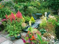 Petit jardin exotique avec terrasse, pont et étang, les plantes comprennent - Astilbe, Eucomis, Allium et Cordyline