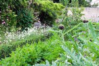 Jardin potager avec siège donnant sur des marguerites et des rangées de produits, y compris les artichauts et Chenopodium bonus henricus - Good King Henry